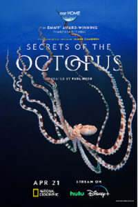 SECRETS OF THE OCTOPUS (NatGeo) Premieres this Sunday, April 21